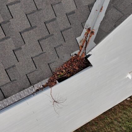 Siding & Gutter Inspection (Add-On Only)