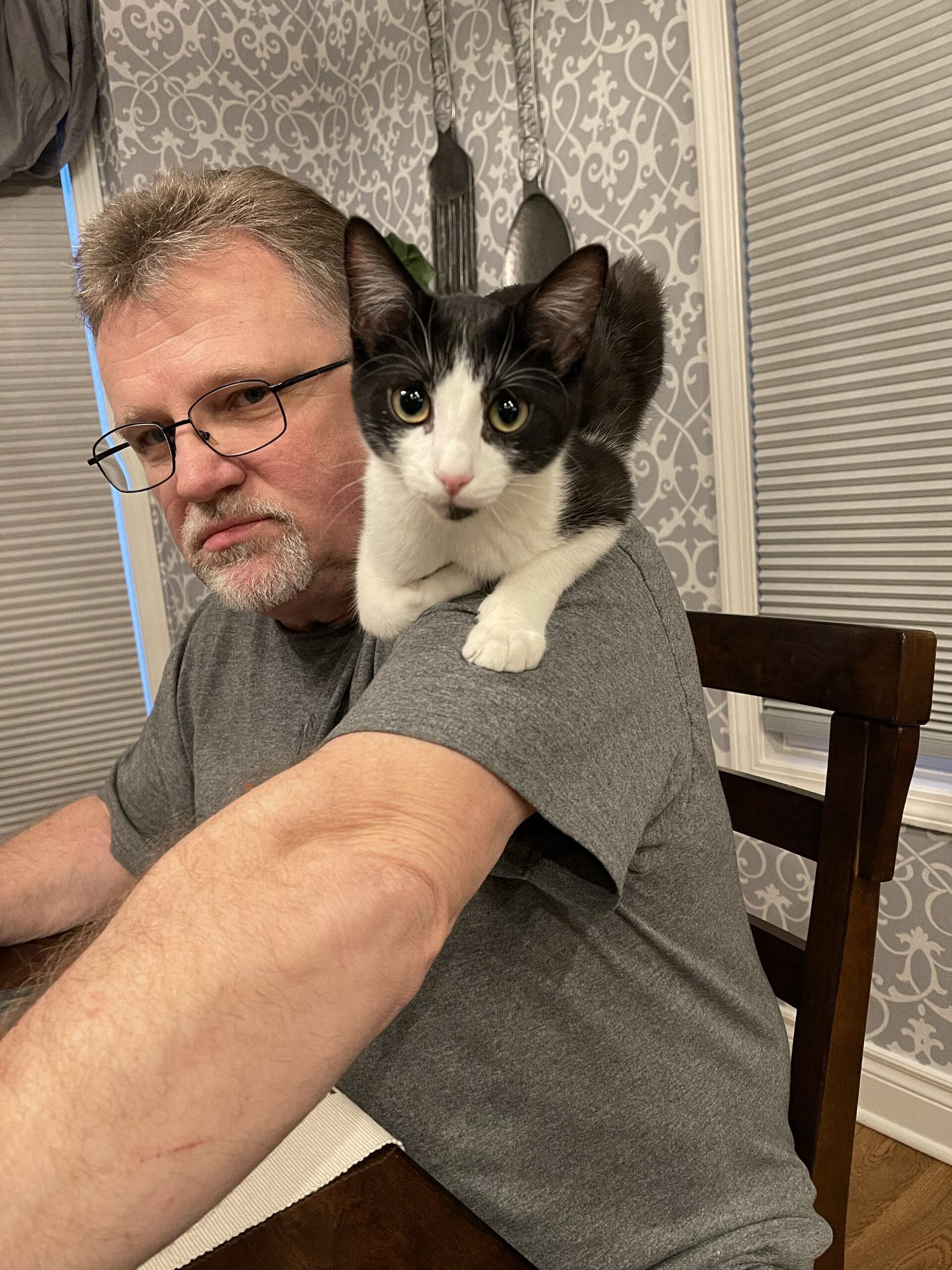 Richard Jackson KC Pet Search and Rescue review